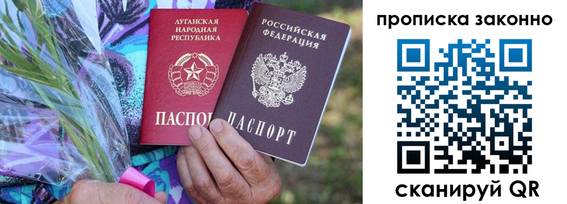 прописка для школы в Обояни